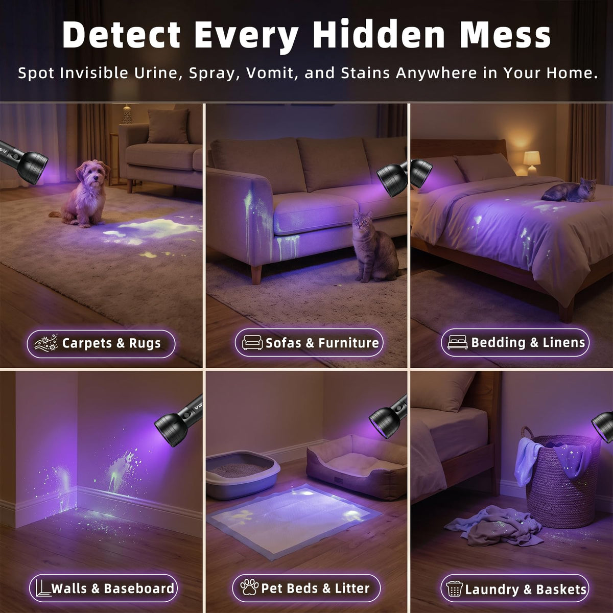 UV Light Stain Detector: Finds Hidden Pet Urine