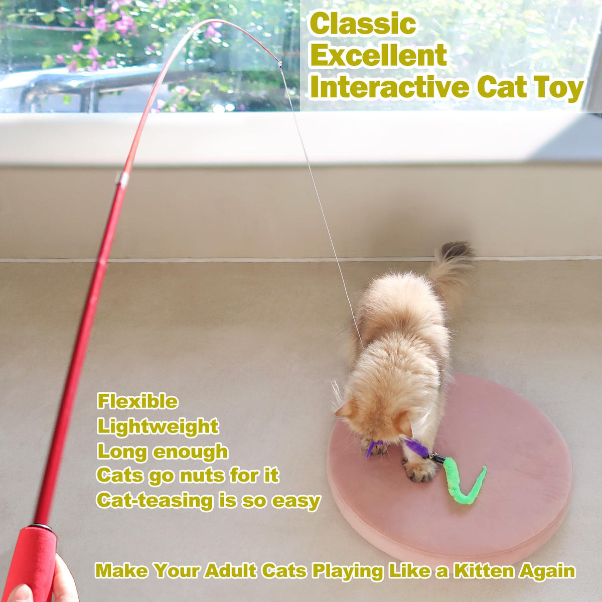 Indoor cat playing with interactive telescopic wand toy
