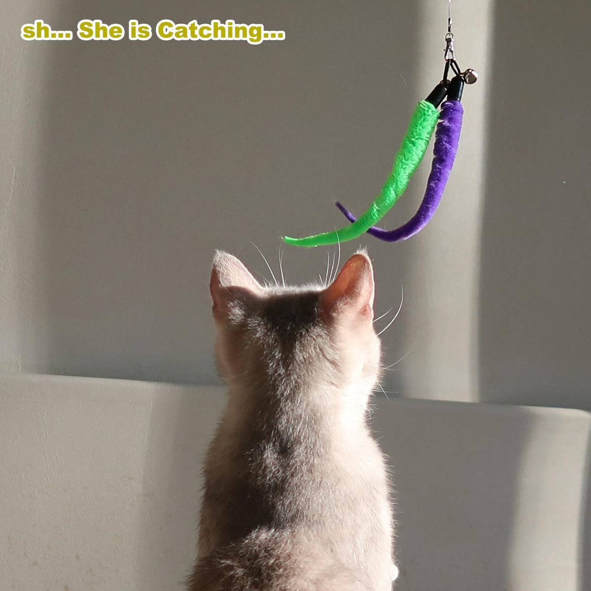 Cat catching interactive worm teaser wand toy